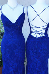 Royal Blue Lace Sheath Prom Dresses Long Open Back